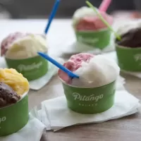 Pitango Gelato